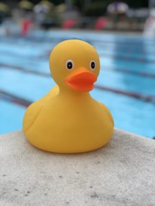 Hampden Ducks @ South Middleton Swim Club